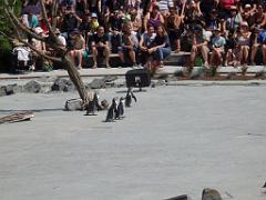 101PARC AUX OISEAUX DANS L AIN 2016 3_000038